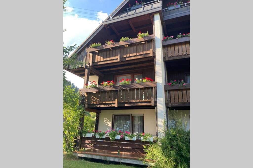 Gemuetliche Ferienwohnung In Sankt Blasien Exterior foto