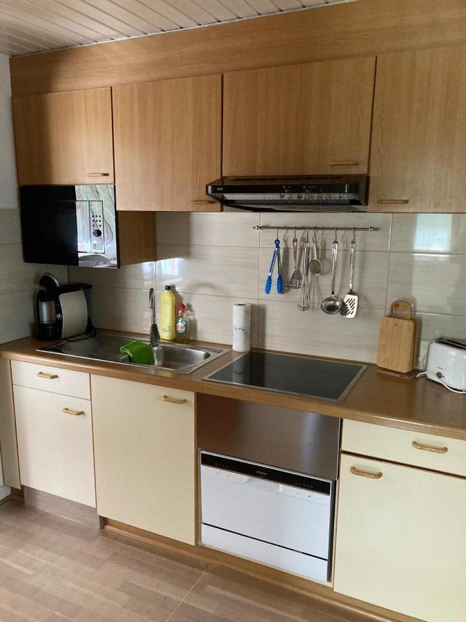 Gemuetliche Ferienwohnung In Sankt Blasien Exterior foto