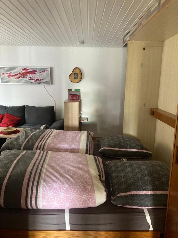 Gemuetliche Ferienwohnung In Sankt Blasien Exterior foto
