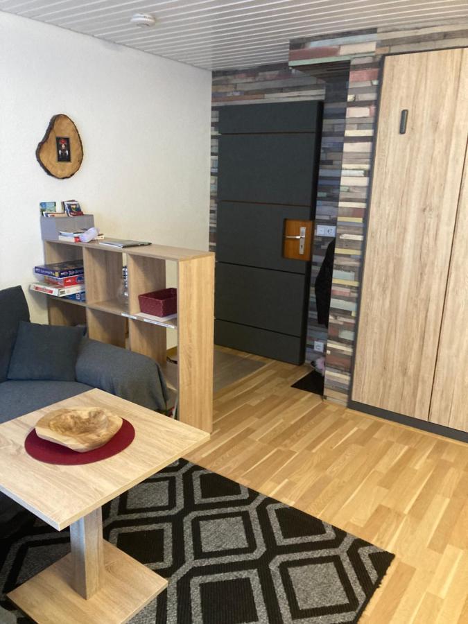 Gemuetliche Ferienwohnung In Sankt Blasien Exterior foto